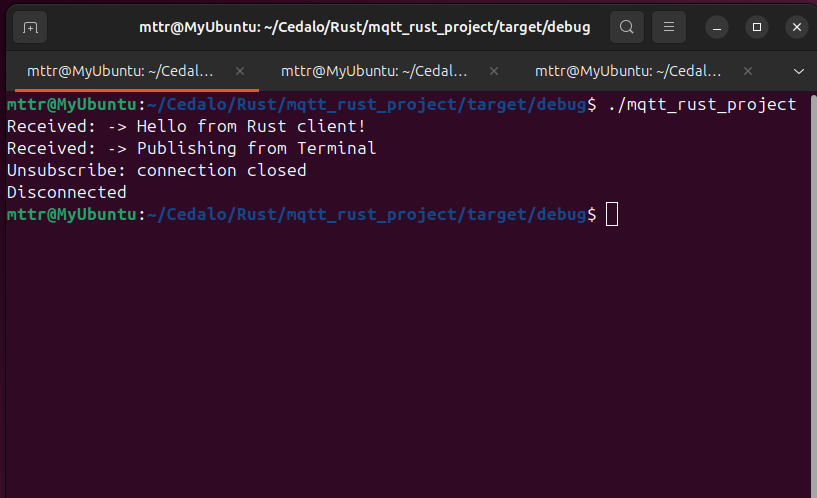 Log ouput in the Rust application's terminal